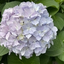 仲裁客服管理平台