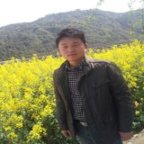 我是你的技术员