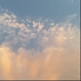 河南易网实业有限公司 PHP开发