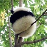 个人图片