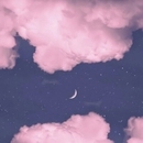 。   。