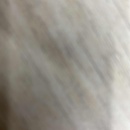 牵手西湖(婚恋聊天)