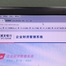 企业财资管理系统