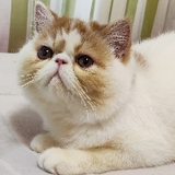 惜别