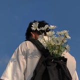 乘风向北