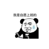 南京德睿能源研究院有限公司软件开发工程师