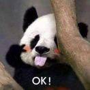 前广州昆仑科技有限公司 C#开发