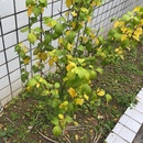 ,好我够给你