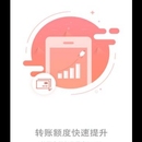 民生银行系统