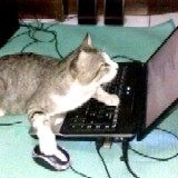 诺比侃人工智能有限责任公司Python开发