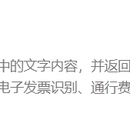 发票识别统计软件