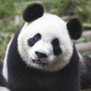 上海凯士比泵有限公司 高级开发工程师