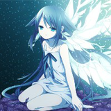 无3049