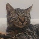 福建省地图出版社程序员