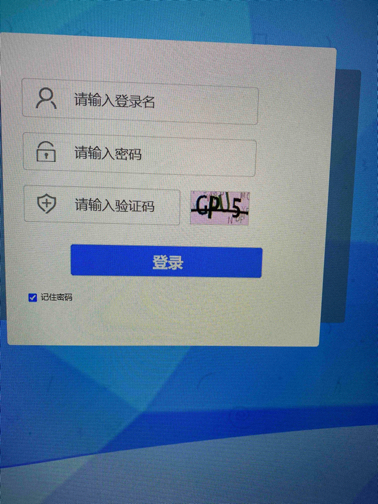 动态图片