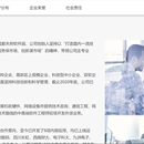 公司官网