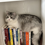 亚信 全栈开发工程师