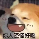 陌陌陌陌哦
