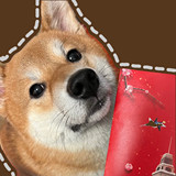 爱奇艺 Java后端