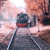 10年_java后端