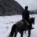 前广州淦茂网络科技有限公司技术主管
