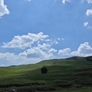 H+(PC,H5)