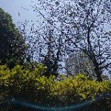 阳光正好