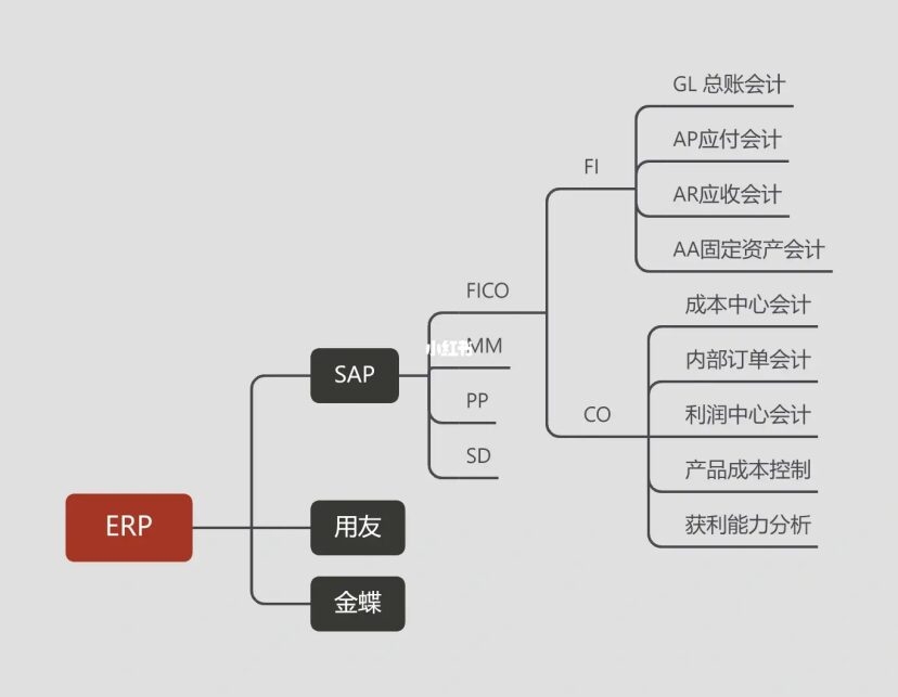 动态图片