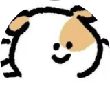 上海杰狮信息技术有限公司高级后端工程师