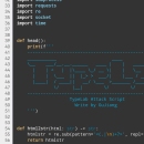 Typelab网络安全脚本
